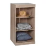 Honey-Can-Do 2 Shelf Stackable Open Cabinet Oak