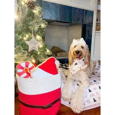 Midlee Christmas Santa Rope Basket - Image 3