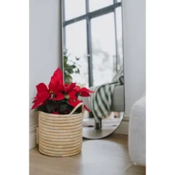 Mo's Crib Small Handcrafted Karula Basket With Handles